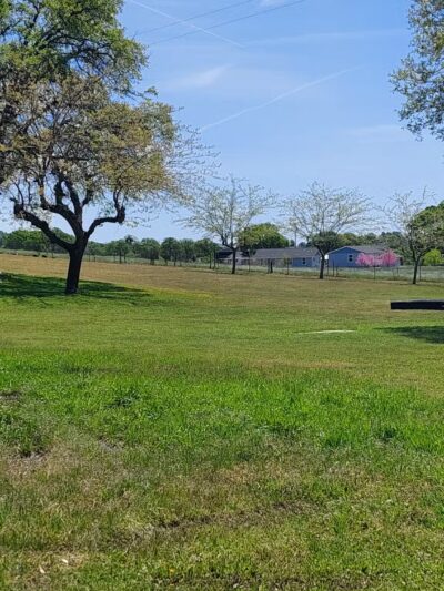 Catheys Valley Park - Catheys Valley, CA