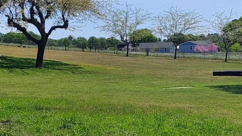 Catheys Valley Park - Catheys Valley, CA