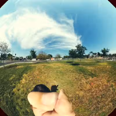 Ceres Dog Park - Ceres, CA