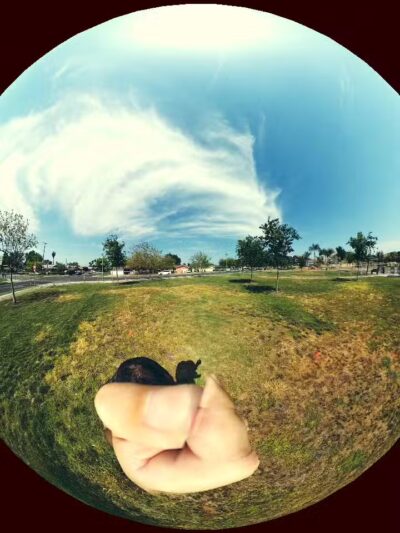 Ceres Dog Park - Ceres, CA