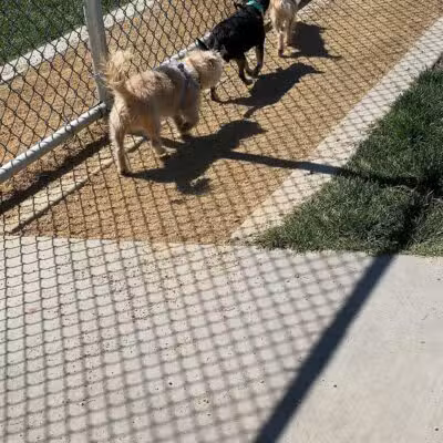 Ceres Dog Park - Ceres, CA