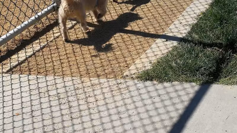 Ceres Dog Park - Ceres, CA