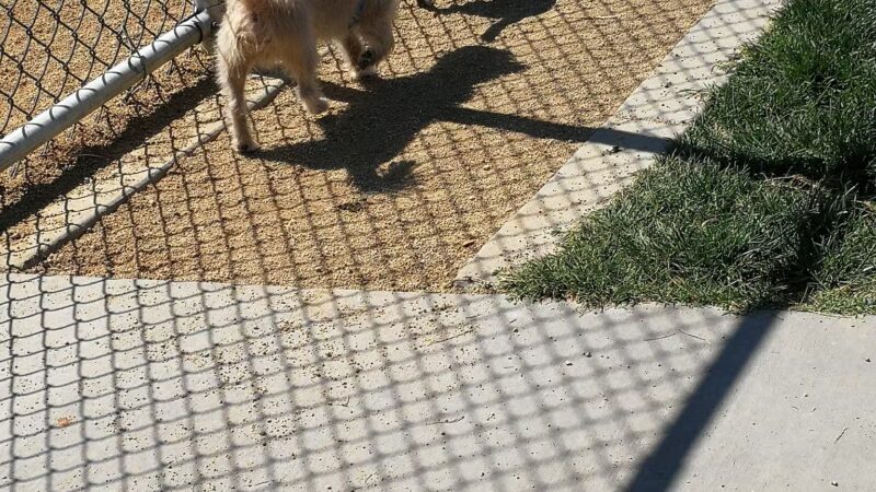 Ceres Dog Park - Ceres, CA