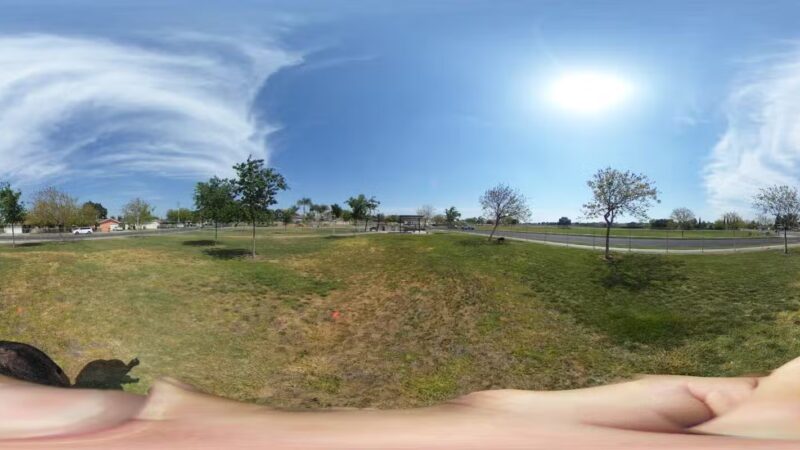 Ceres Dog Park - Ceres, CA