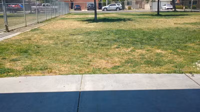 Ceres Dog Park - Ceres, CA