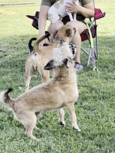 Neel Park - Ceres, CA