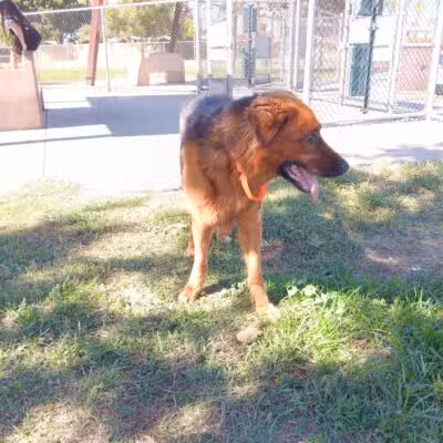 Neel Park - Ceres, CA