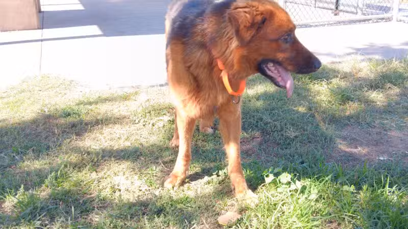 Neel Park - Ceres, CA