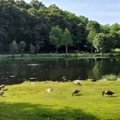 Gedney Park - Chappaqua, NY