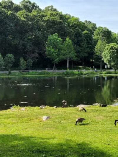 Gedney Park - Chappaqua, NY