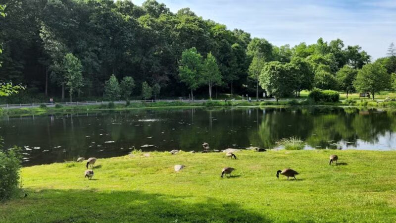 Gedney Park - Chappaqua, NY