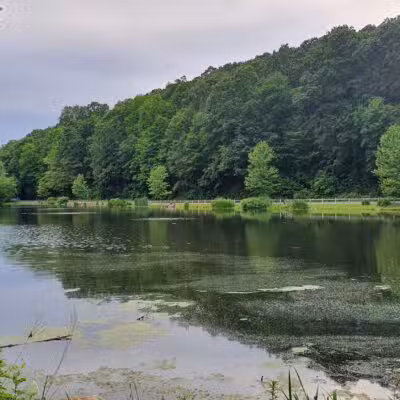 Gedney Park - Chappaqua, NY