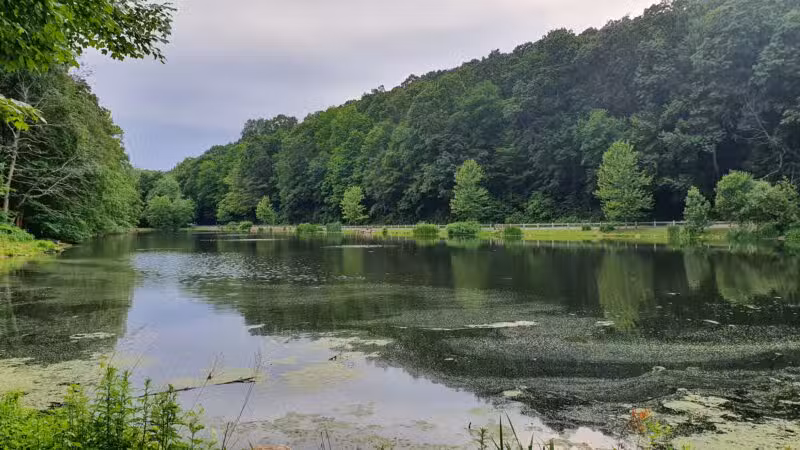Gedney Park - Chappaqua, NY