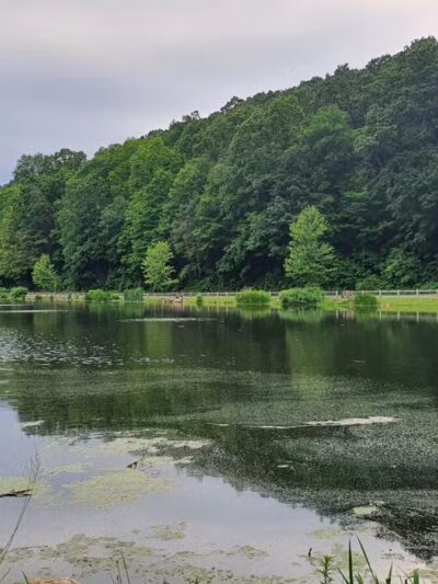 Gedney Park - Chappaqua, NY