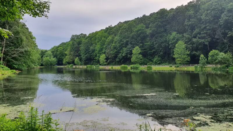 Gedney Park - Chappaqua, NY