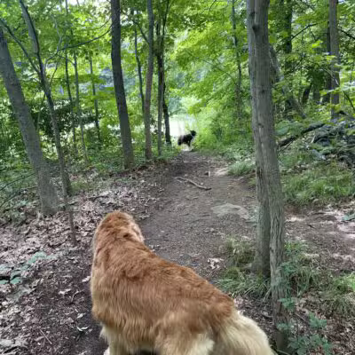 Gedney Park - Chappaqua, NY