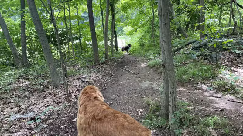 Gedney Park - Chappaqua, NY