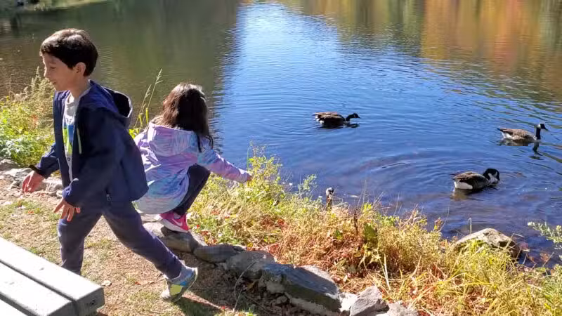 Gedney Park - Chappaqua, NY