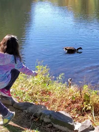 Gedney Park - Chappaqua, NY