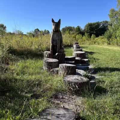 Arb Dog Commons - Chaska, MN