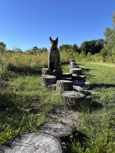 Arb Dog Commons - Chaska, MN