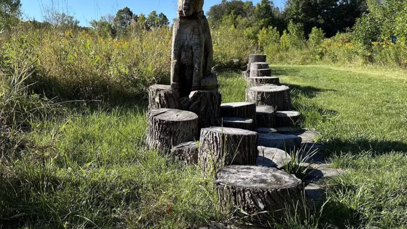 Arb Dog Commons - Chaska, MN