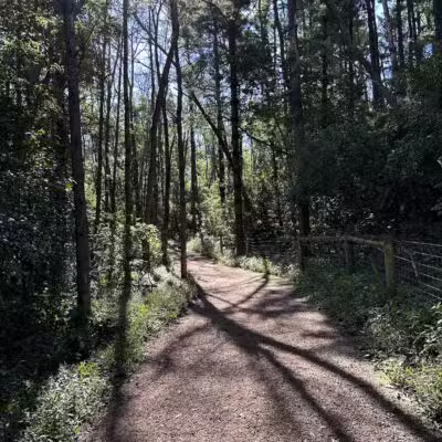 Arb Dog Commons - Chaska, MN