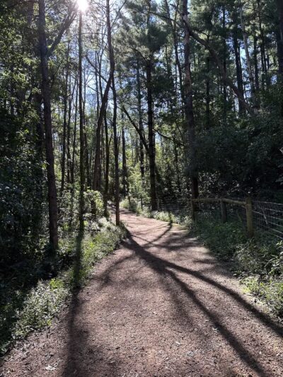 Arb Dog Commons - Chaska, MN