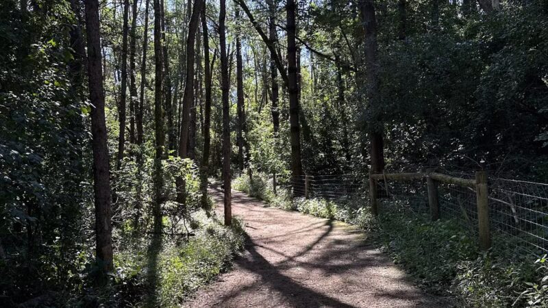 Arb Dog Commons - Chaska, MN