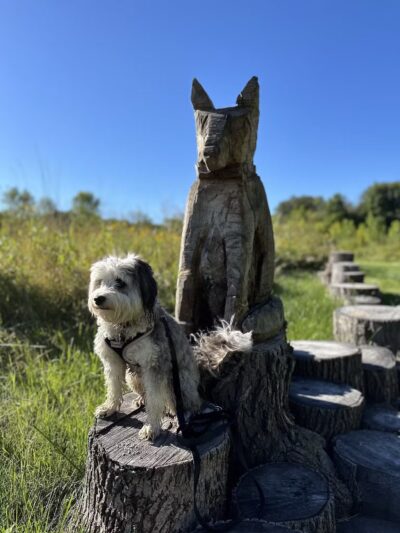 Arb Dog Commons - Chaska, MN