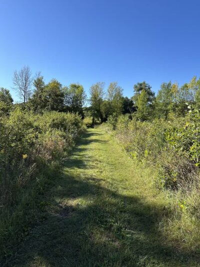 Arb Dog Commons - Chaska, MN