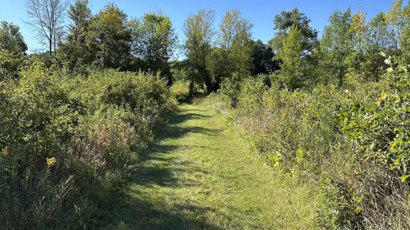 Arb Dog Commons - Chaska, MN