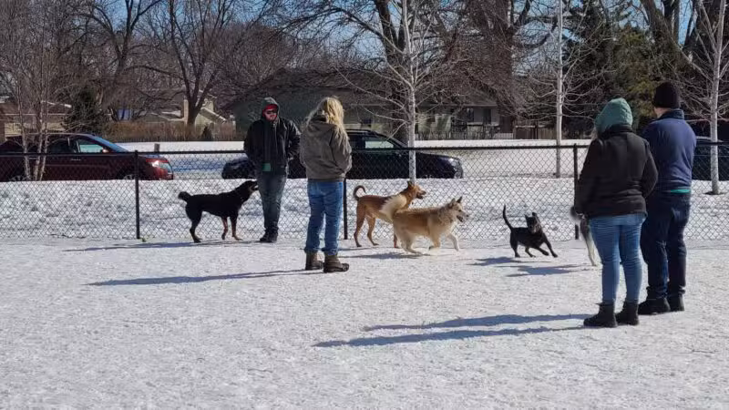 Chaska Off-Leash Dog Park - Chaska, MN