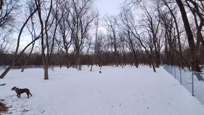 Chaska Off-Leash Dog Park - Chaska, MN