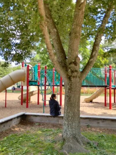 Candy Cane City - Chevy Chase, MD