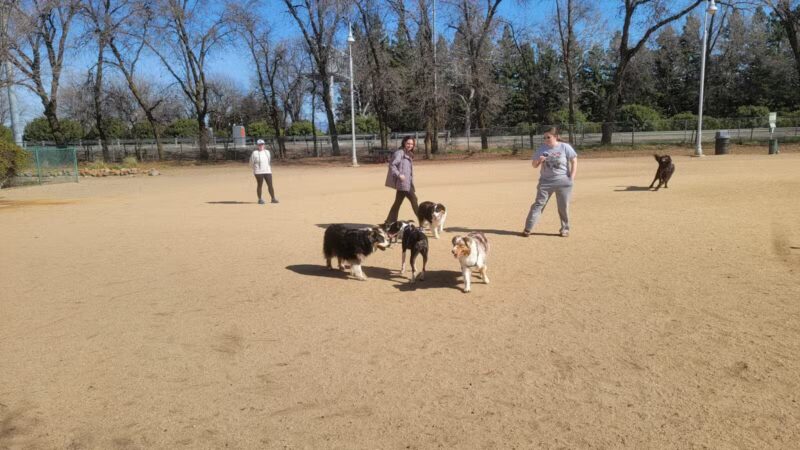 DeGarmo Dog Park - Chico, CA