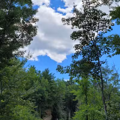 Thurston Park - China, ME