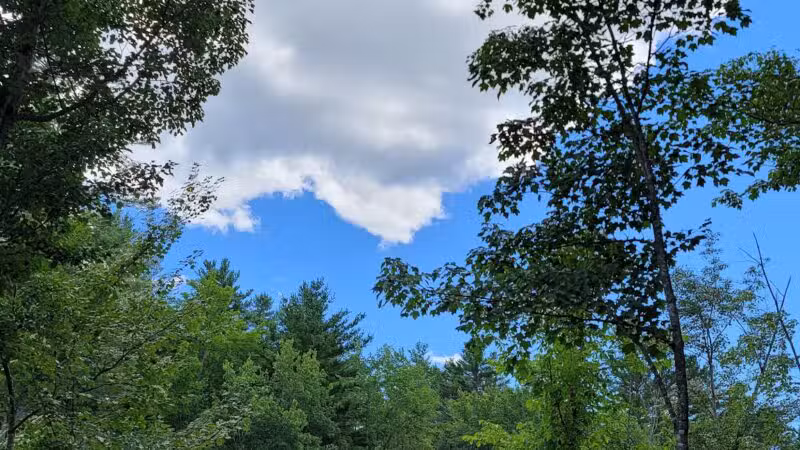 Thurston Park - China, ME