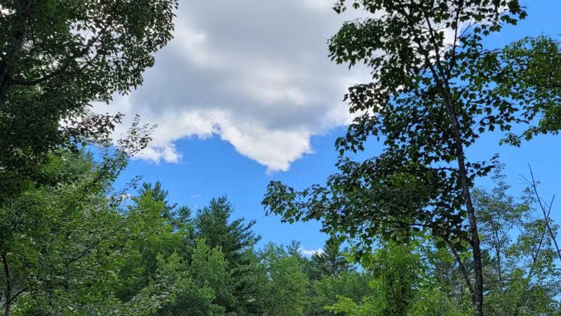 Thurston Park - China, ME