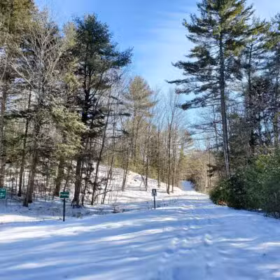 Thurston Park - China, ME