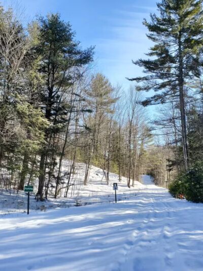 Thurston Park - China, ME