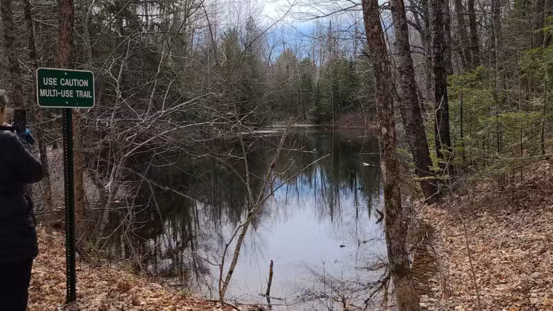 Thurston Park - China, ME