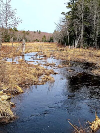 Thurston Park - China, ME