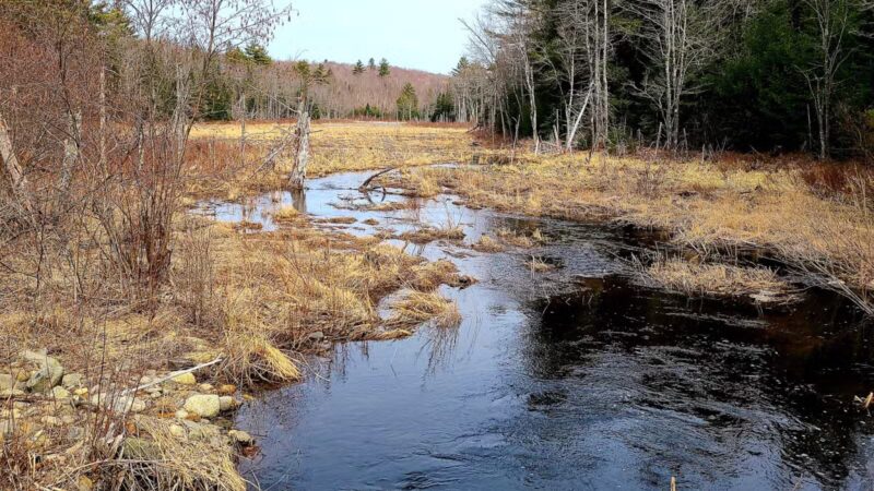 Thurston Park - China, ME