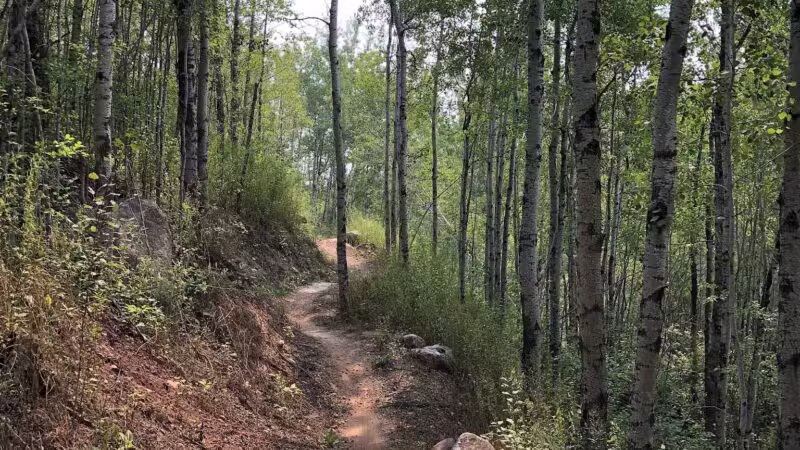 Redhead Mountain Bike Park - Chisholm, MN