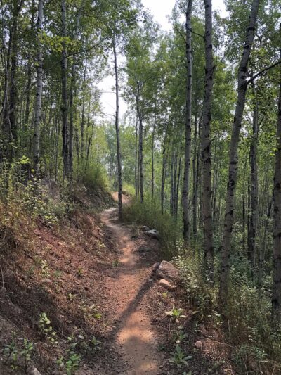 Redhead Mountain Bike Park - Chisholm, MN