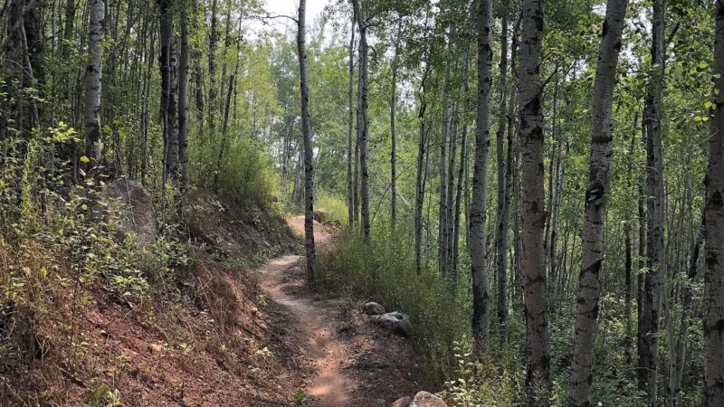Redhead Mountain Bike Park - Chisholm, MN