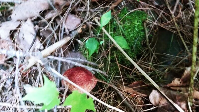 Veterans Park - Claremont, NH