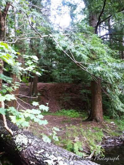 Veterans Park - Claremont, NH