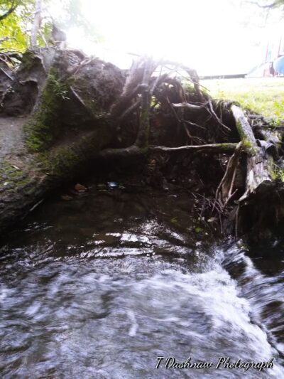 Veterans Park - Claremont, NH